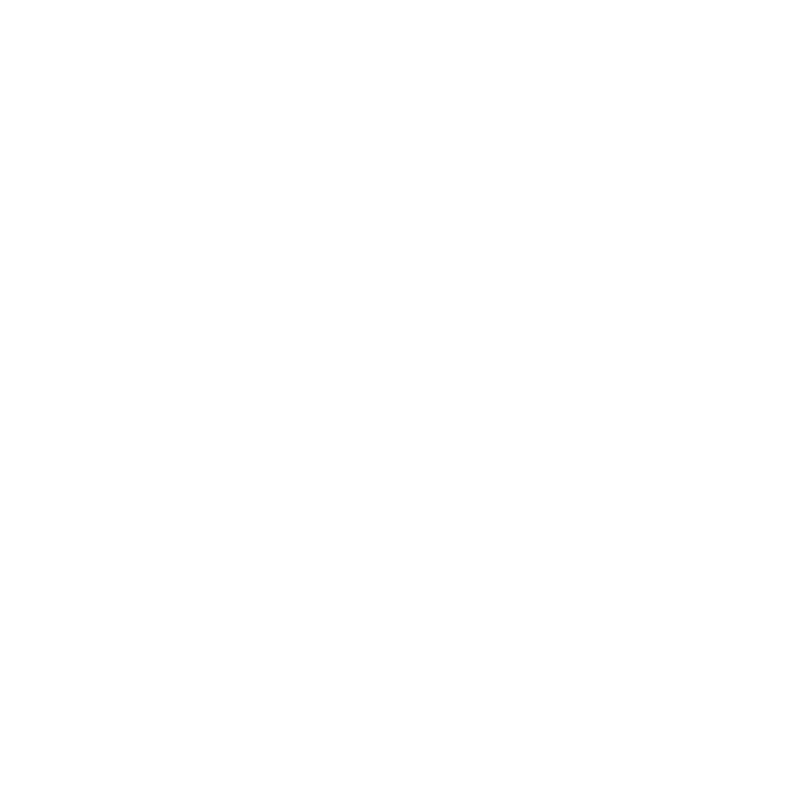 The Doorstep Detailer Logo